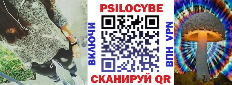 закладка  Вытегра  Галлюциногенные грибы GOLDEN TEACHER 